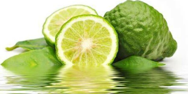 buah limau purut