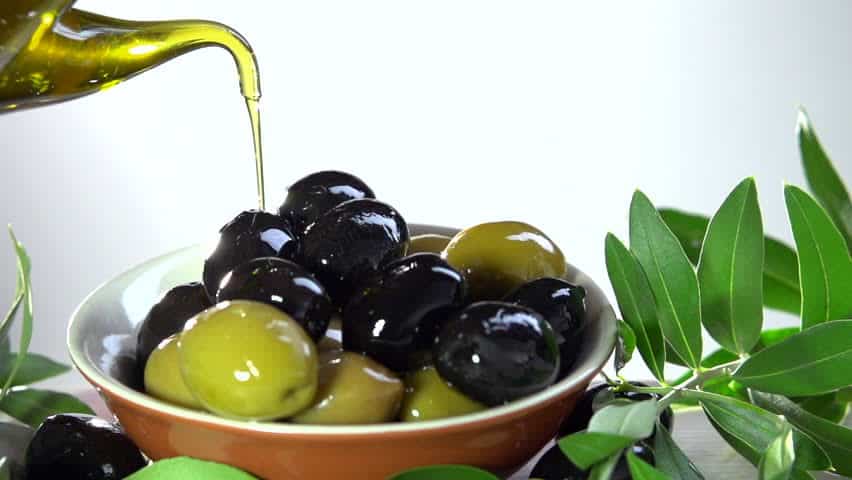buah zaitun