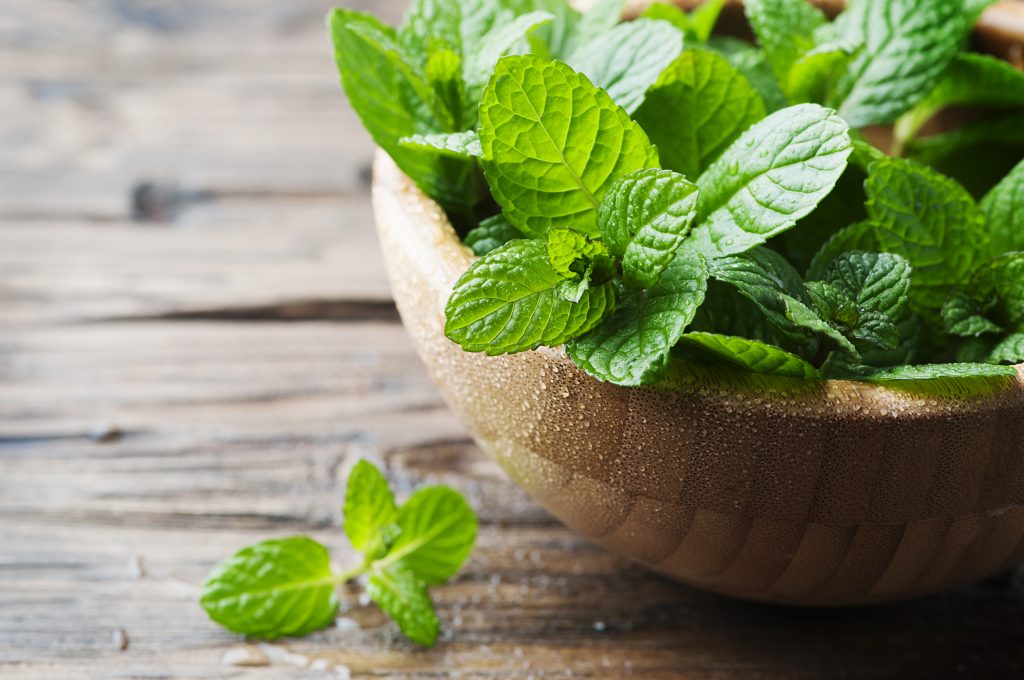 daun pudina dalam beras
