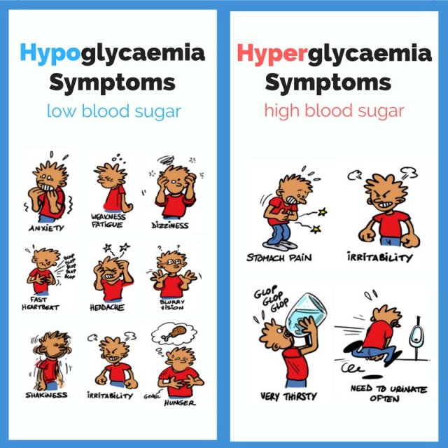 hypo n hyper
