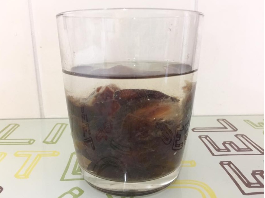 kurma kembang