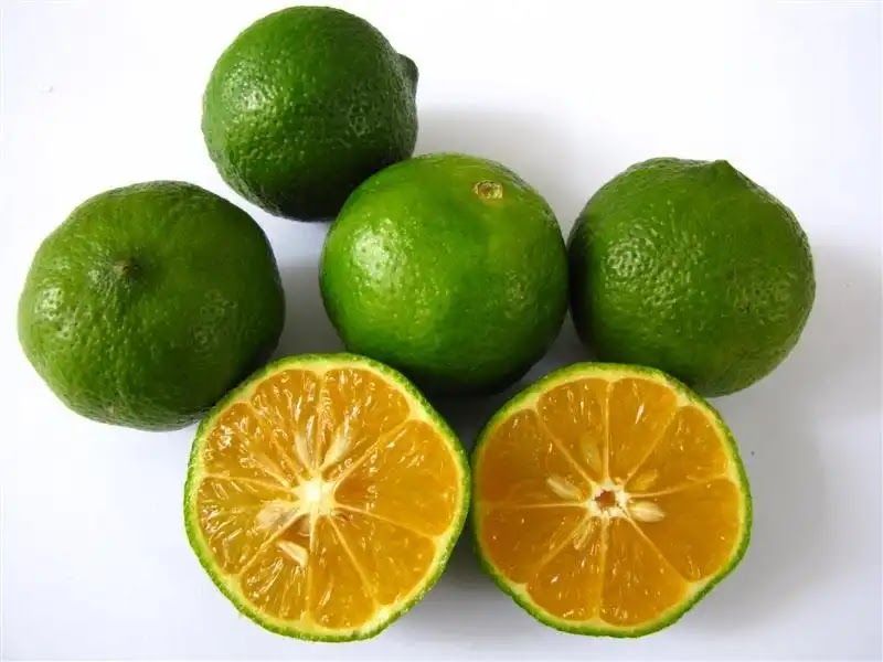 limau kasturi