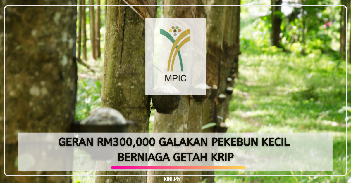 Geran RM300,000 Galakan Pekebun Kecil Berniaga Getah Krip