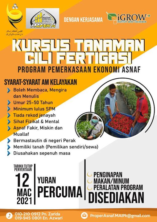 Kursus Tanaman Cili Fertigasi Asnaf MAIPk Percuma. Cepat Mohon Sebelum 12 Mac 2021
