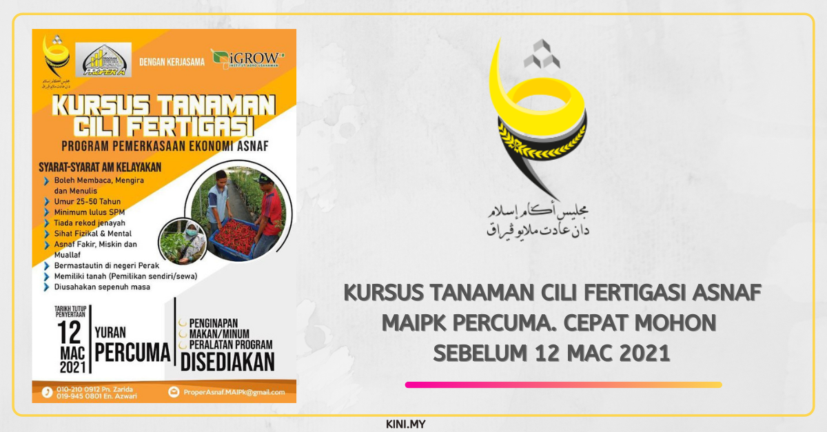 Kursus Tanaman Cili Fertigasi Asnaf MAIPk Percuma. Cepat Mohon Sebelum 12 Mac 2021