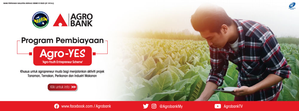 Program Agro-YES Pembiayaan Sehingga RM500,000. Semak Syarat Kelayakan & Mohon Untuk Membiayai Perniagaan Pertanian Anda