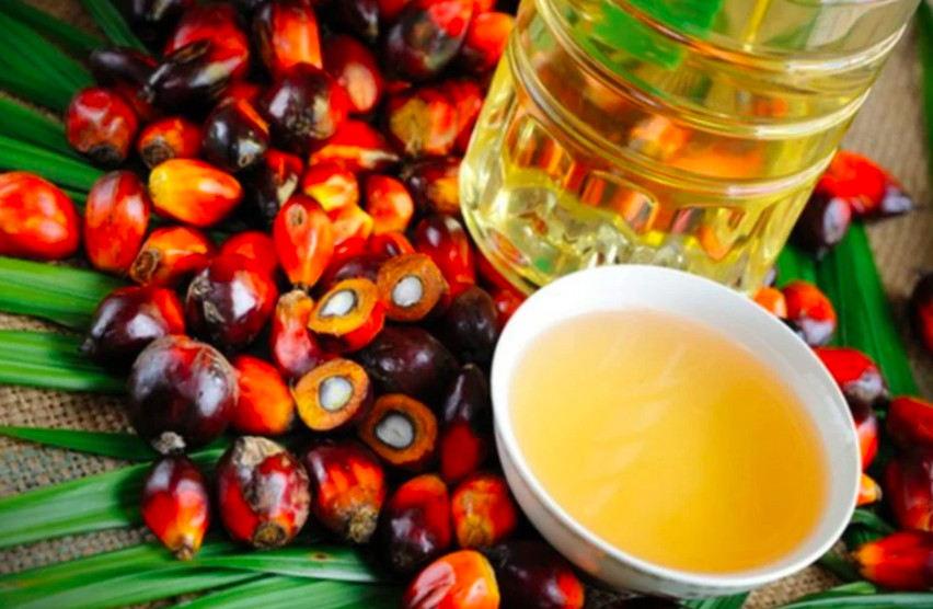 Makin Mahal Atau Makin Murah?Ini Perubahan Harga Minyak Masak Selama Sepanjang 5 Tahun Yang Anda Perlu Tahu