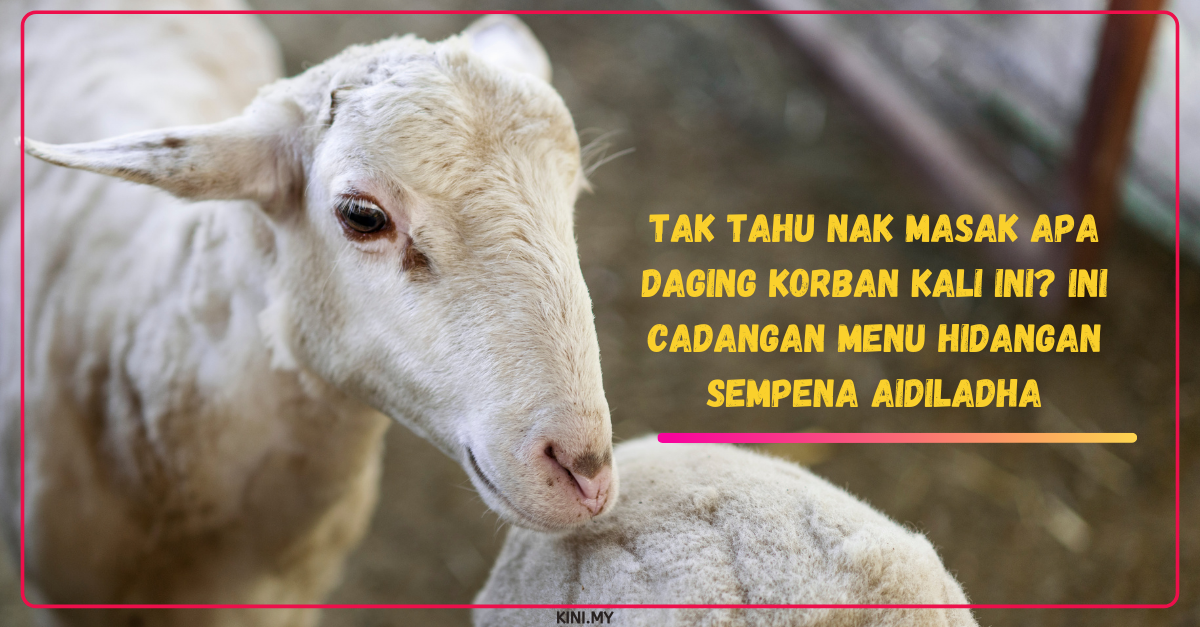 Tak Tahu Nak Masak Apa Daging Korban Kali Ini? Ini Cadangan Menu Hidangan Sempena Aidiladha