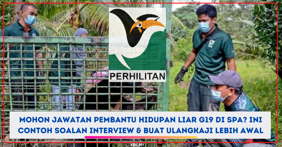 Mohon Jawatan Pembantu Hidupan Liar G19 Di SPA? Ini Contoh Soalan Interview & Buat Ulangkaji Lebih Awal