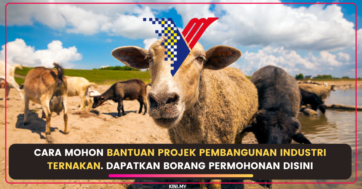 Cara Mohon Bantuan Projek Pembangunan Industri Ternakan. Dapatkan Borang Permohonan Disini