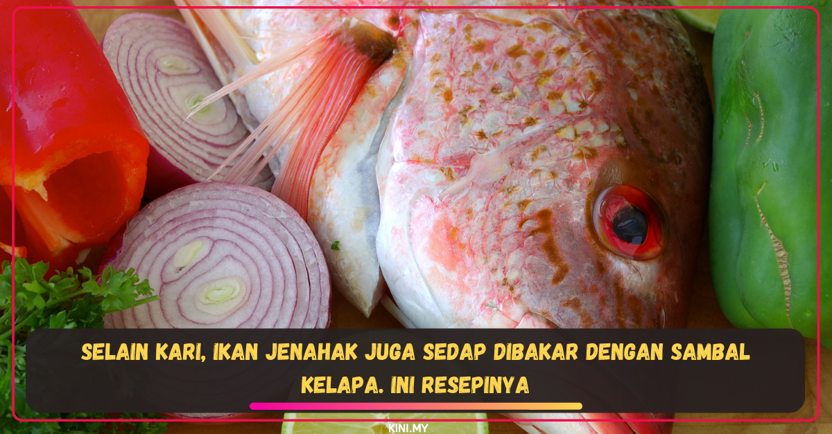 Selain Kari, Ikan Jenahak Juga Sedap Dibakar Dengan Sambal Kelapa. Ini Resepinya
