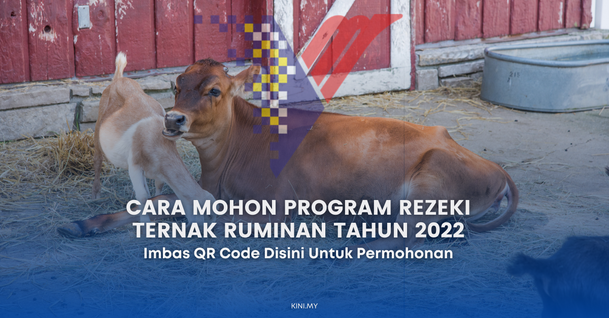 Cara Mohon Program Rezeki Ternak Ruminan Tahun 2022. Imbas QR Code Disini Untuk Mohon