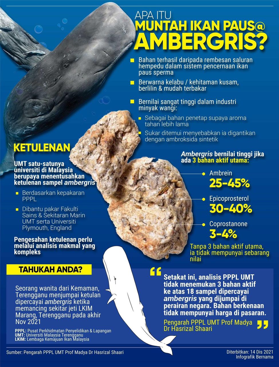 Muntah Ikan Paus (Ambergris) Boleh Cecah Harga Juta-Juta? Betul Ke Boleh Buat Perfume?