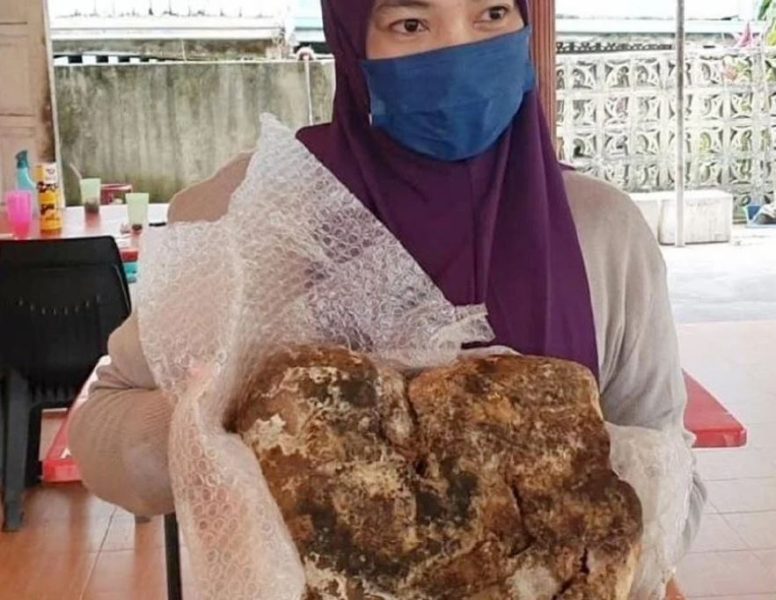 Muntah Ikan Paus (Ambergris) Boleh Cecah Harga Juta-Juta? Betul Ke Boleh Buat Perfume?